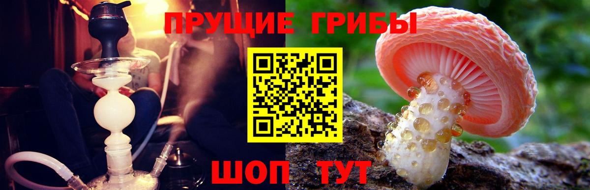где найти   Галлюциногенные грибы мухоморы  Вход с VPN  Видное 